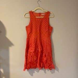 Black Swan Coral Lace Dress